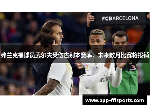 弗兰克福球员武尔夫受伤告别本赛季，未来数月比赛将报销