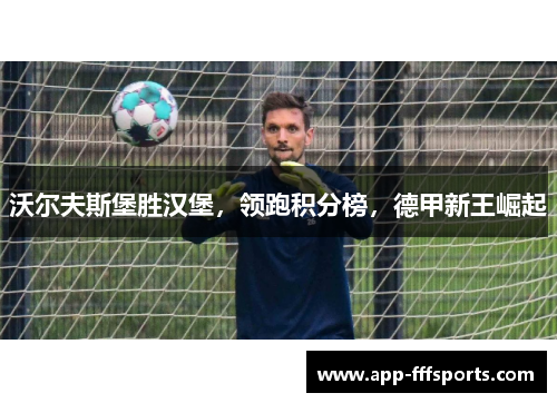 沃尔夫斯堡胜汉堡，领跑积分榜，德甲新王崛起